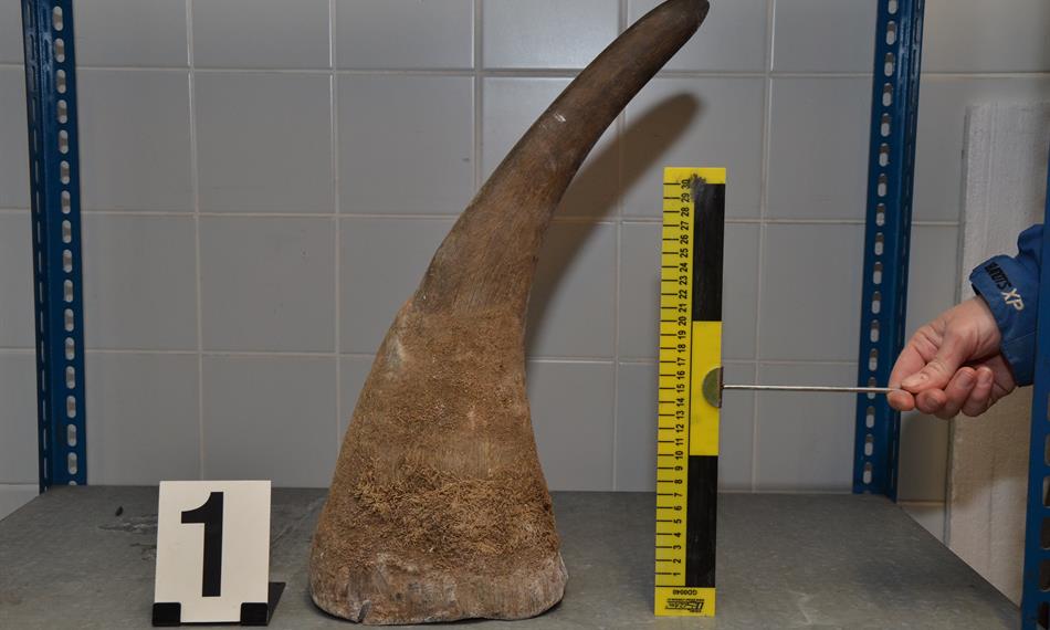 2014-1-15-1346foto 10.JPG